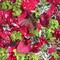 Maywood Studio Hand Picked Christmas Jolly 100% Cotton Fabric By the Yard